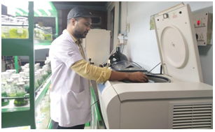 Renewable Energy & Bio TechnologySection
